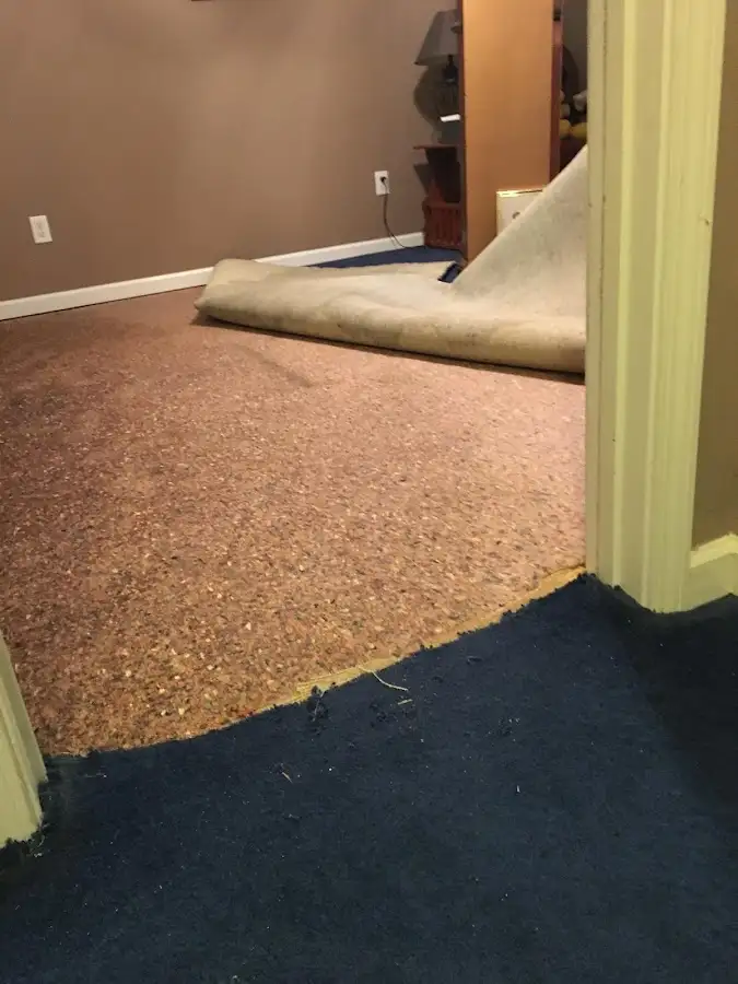 Carpet pad removal revealing water damage during Water Mitigation Services in Mount Juliet