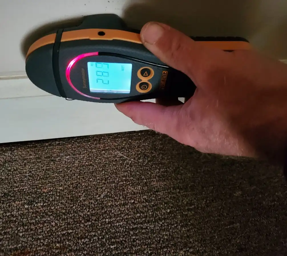 Moisture detection at baseboard during Sewage Cleanup & Sanitation in Mount Juliet